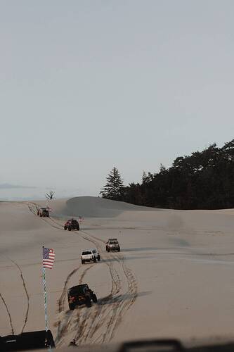 038_2021_Follow_the_Leader_1731807637.jpg